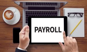 Payroll Services